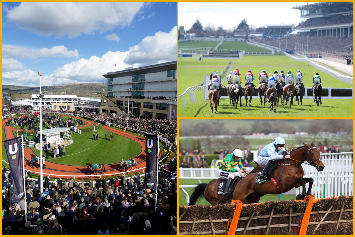 Parade ring, and horses in action at Cheltenham Racecourse